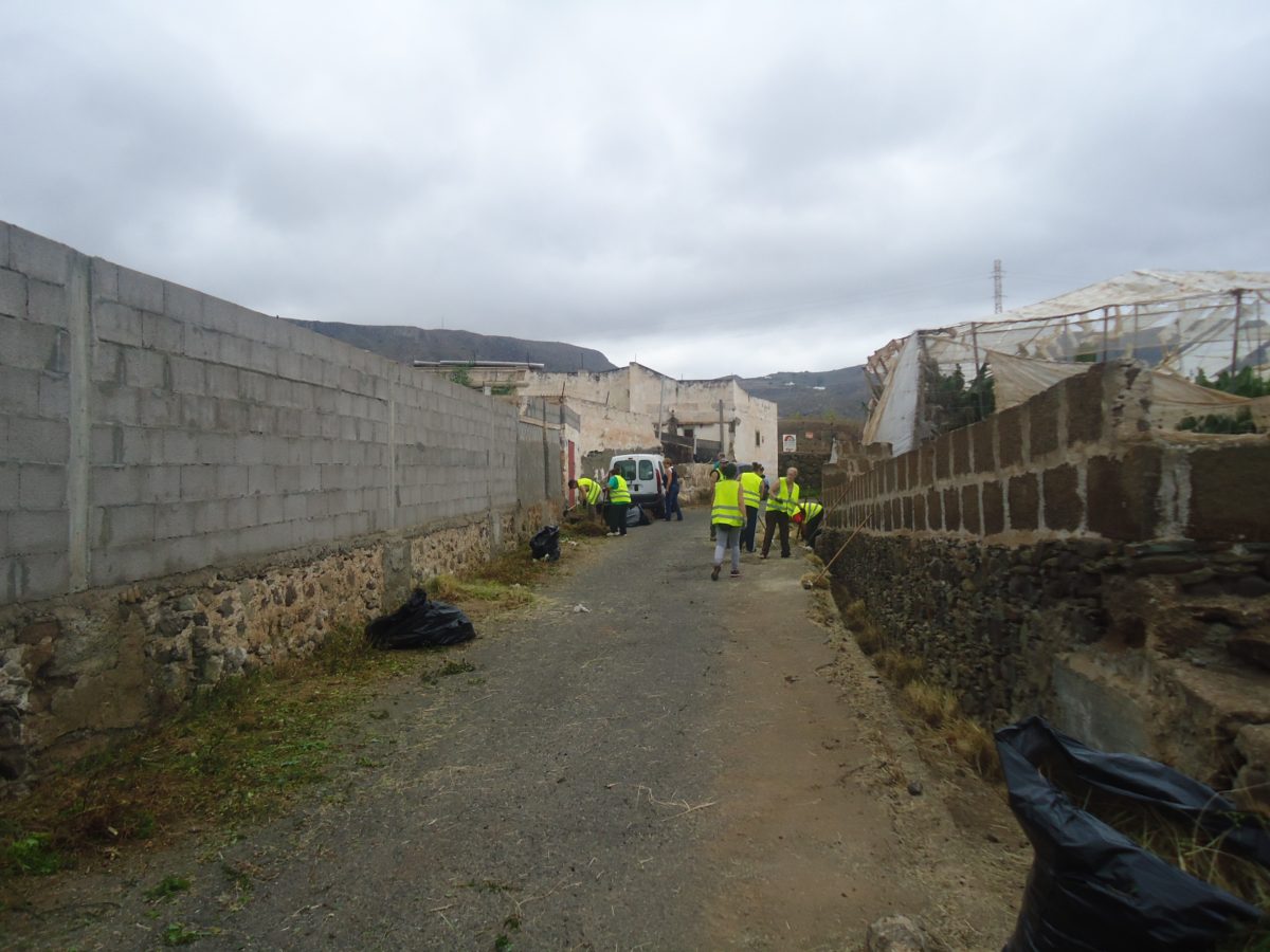 El ayuntamiento inicia las labores de limpieza y acondicionamiento de zonas verdes, barrancos y márgenes de carreteras.