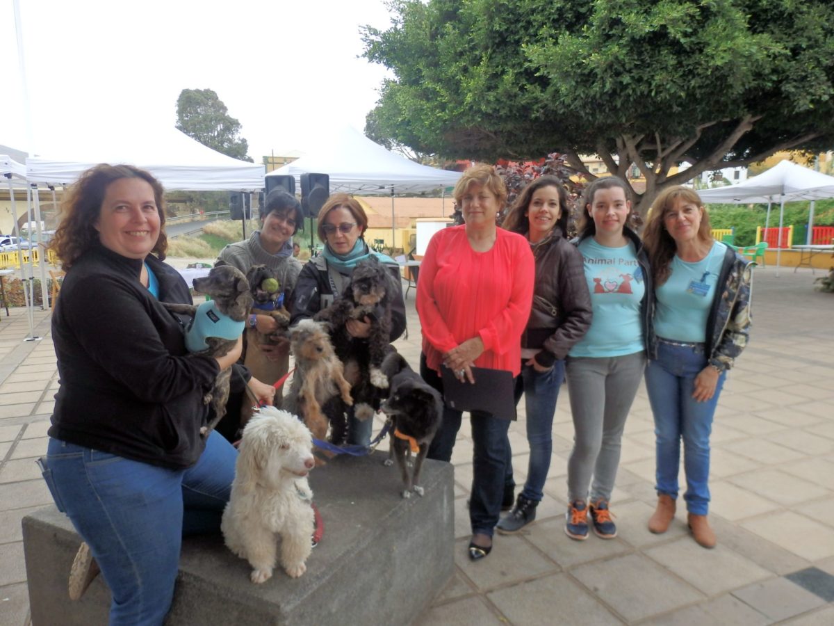 La Feria de la Adopción de Gáldar logra dar visibilidad al trabajo de las Protectoras de Animales