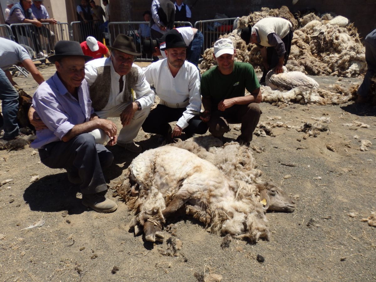 Caideros de Gáldar presume de tradición en una jornada festiva dedicada a exaltar lo canario.