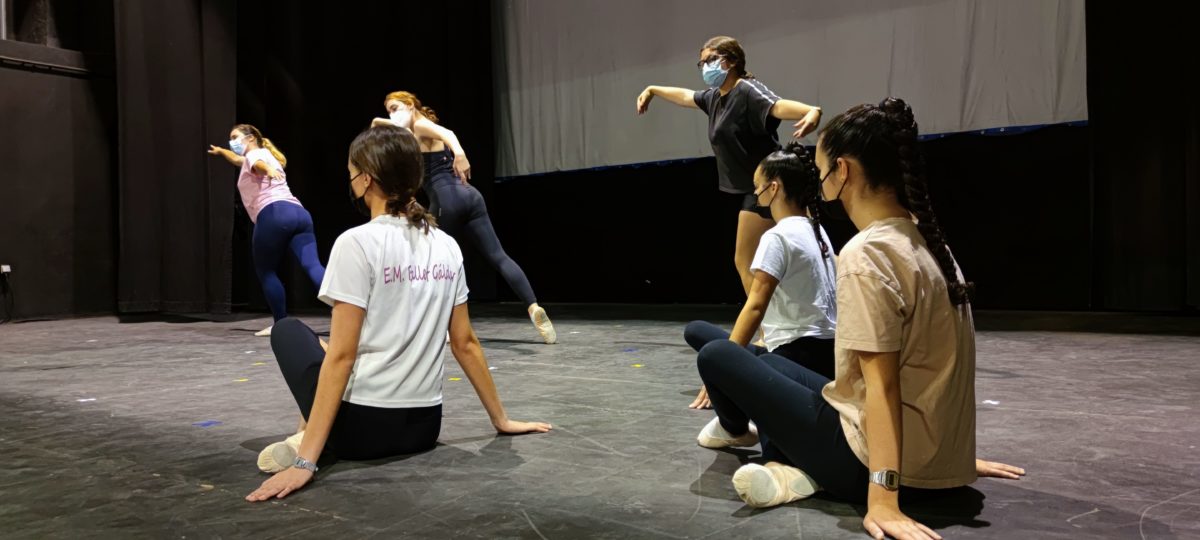 Con el espectáculo «El Carnaval de los Animales», la Escuela Municipal de Ballet celebra su fin de curso